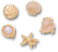 Sandal C Charms Nautical Gold 5 Pack
