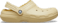 Sesame
