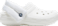 화이트/화이트
