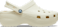 Bone