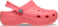Guava