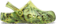 Citrus