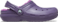 Nightshade
