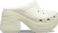 Bone