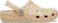 Shiitake
