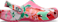 Dragon Fruit