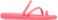 Guava