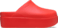 Étoile de mer