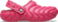 Dragon Fruit