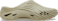 Moth
