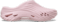 Barbe à Papa