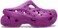 Grapeberry