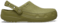 Aloe