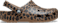 Sepia / Leopard