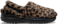 Sepia / Leopard