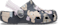 Carbon