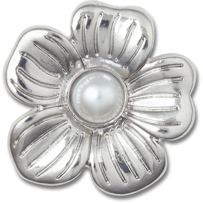 Silver Monochrome Daisy 2