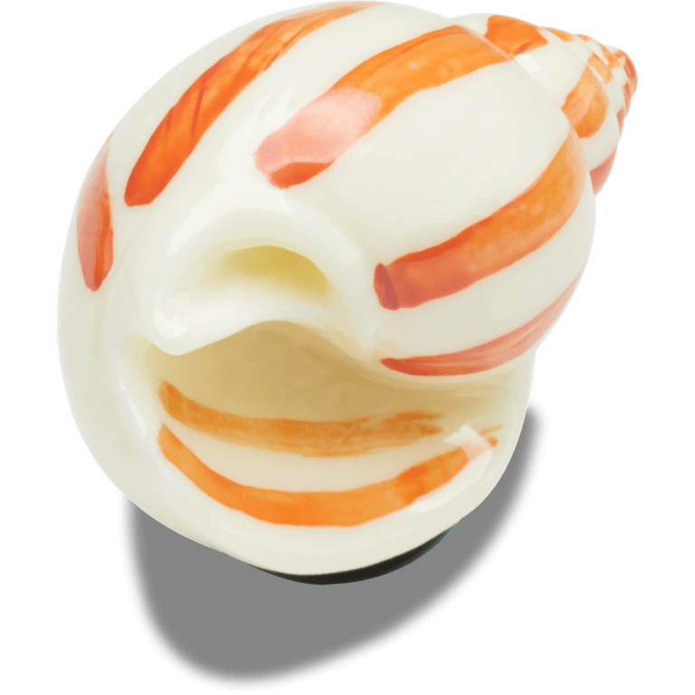 Natural Conch Shell