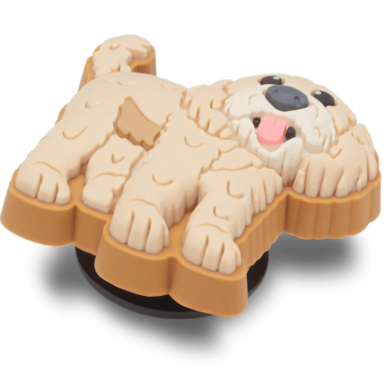 Golden Doodle Puppy