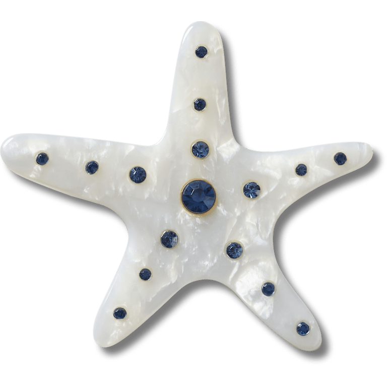 Silver Starfish