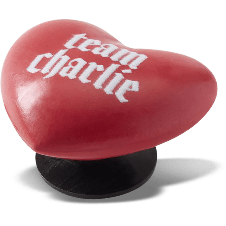 The Twilight Saga Team Charlie