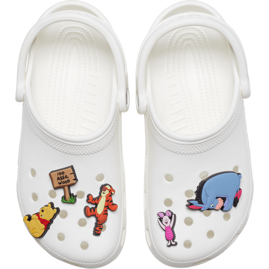  Winnie The Pooh 5 Pack - Custom Angle - Jibbitz