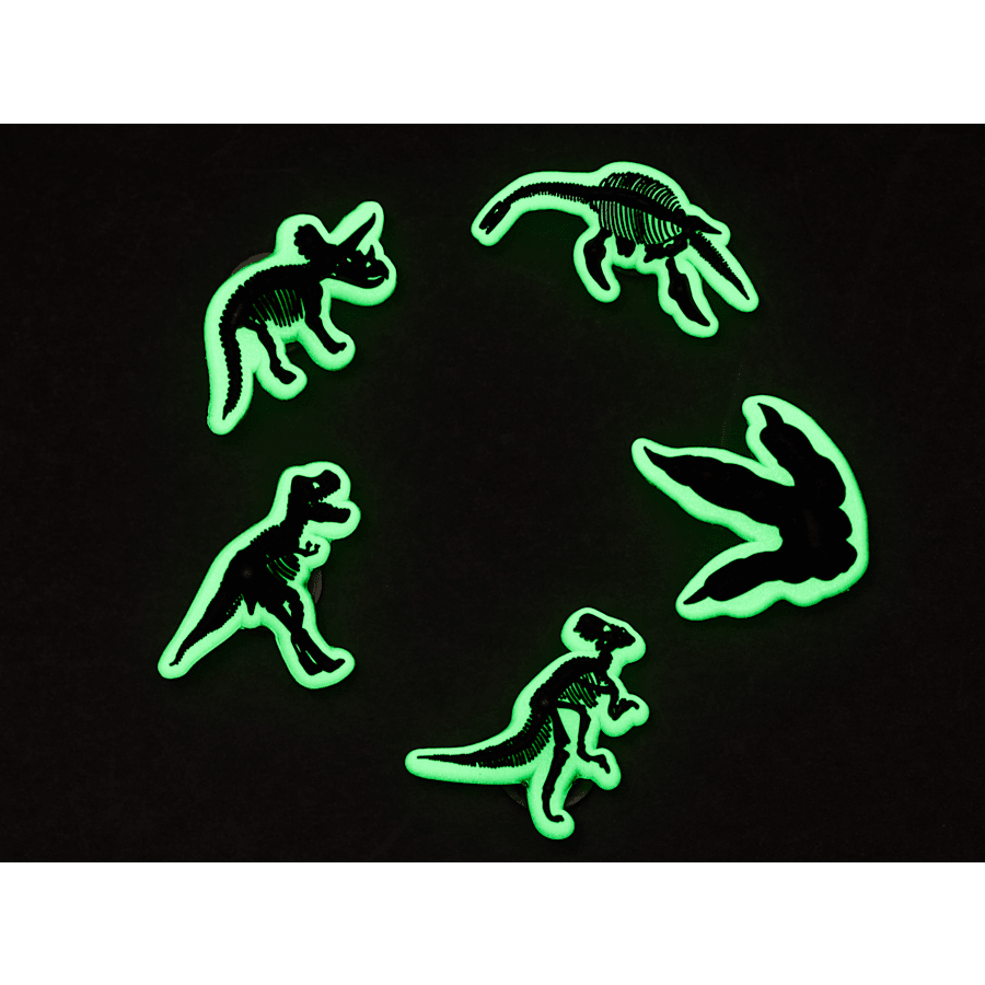 Crocs Glow In The Dark Dino 5 Pack