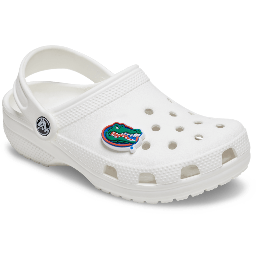 University of Florida - Custom Angle - Jibbitz