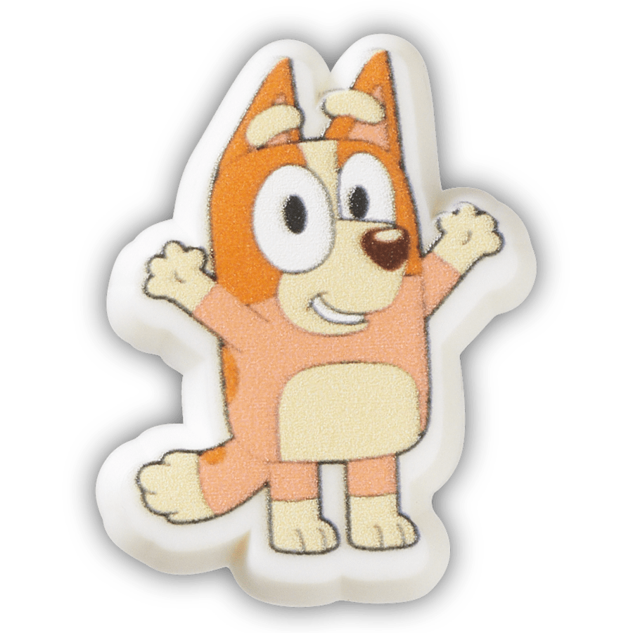  Bingo - charm view - Jibbitz