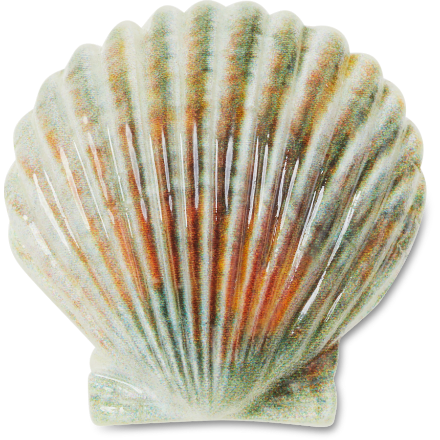  Natural Seashell - charm view - Jibbitz