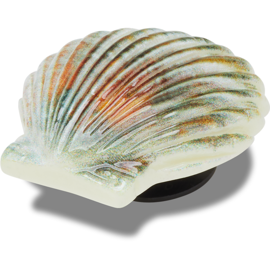 Natural Seashell - charms on shoes - Jibbitz