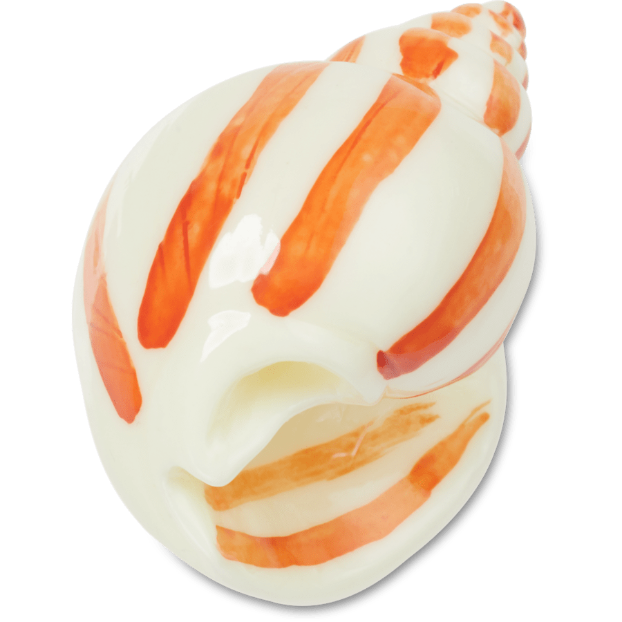  Natural Conch Shell - charm view - Jibbitz