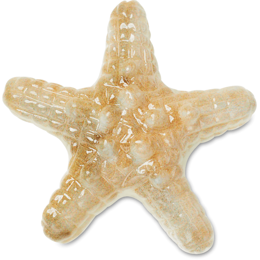  Natural Star Fish - charm view - Jibbitz