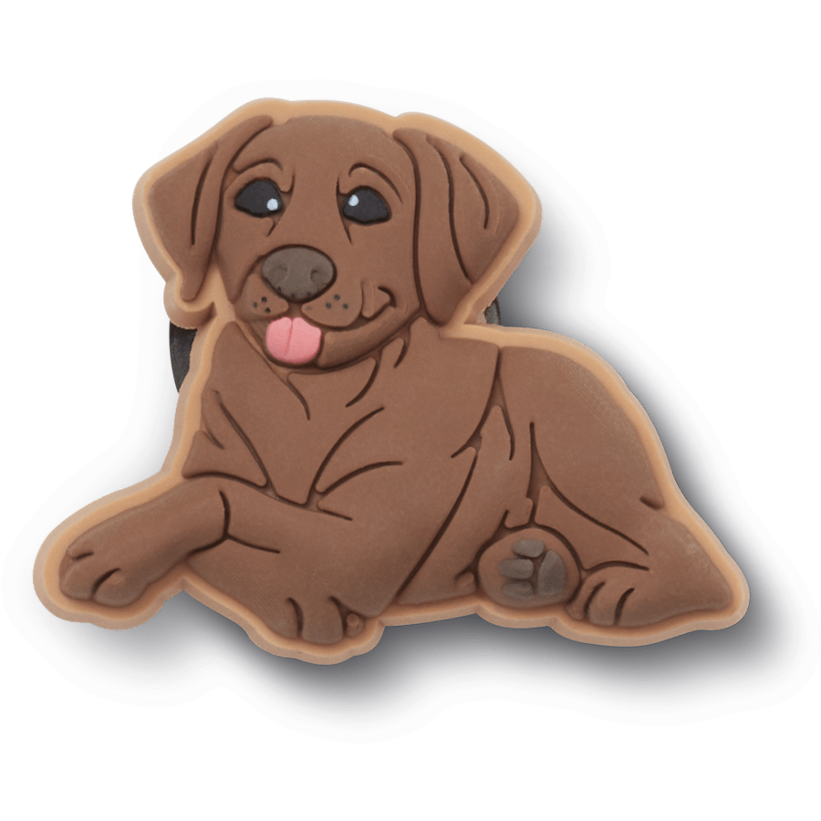 Brown Lab Puppy