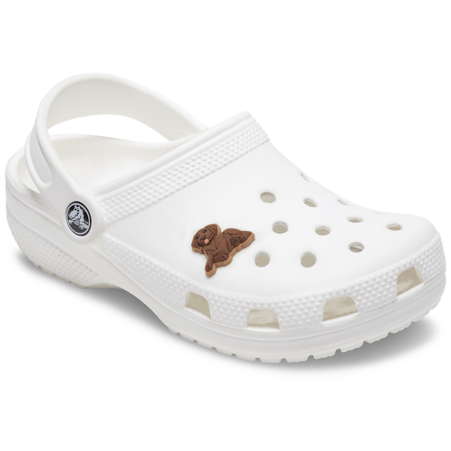 Brown Lab Puppy - charm-on-shoes - Jibbitz Charms
