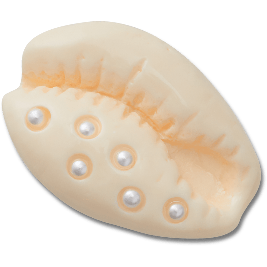  Pearl Puka Shell - charm view - Jibbitz