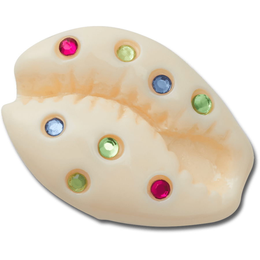  Gem Puka Shell - charm view - Jibbitz