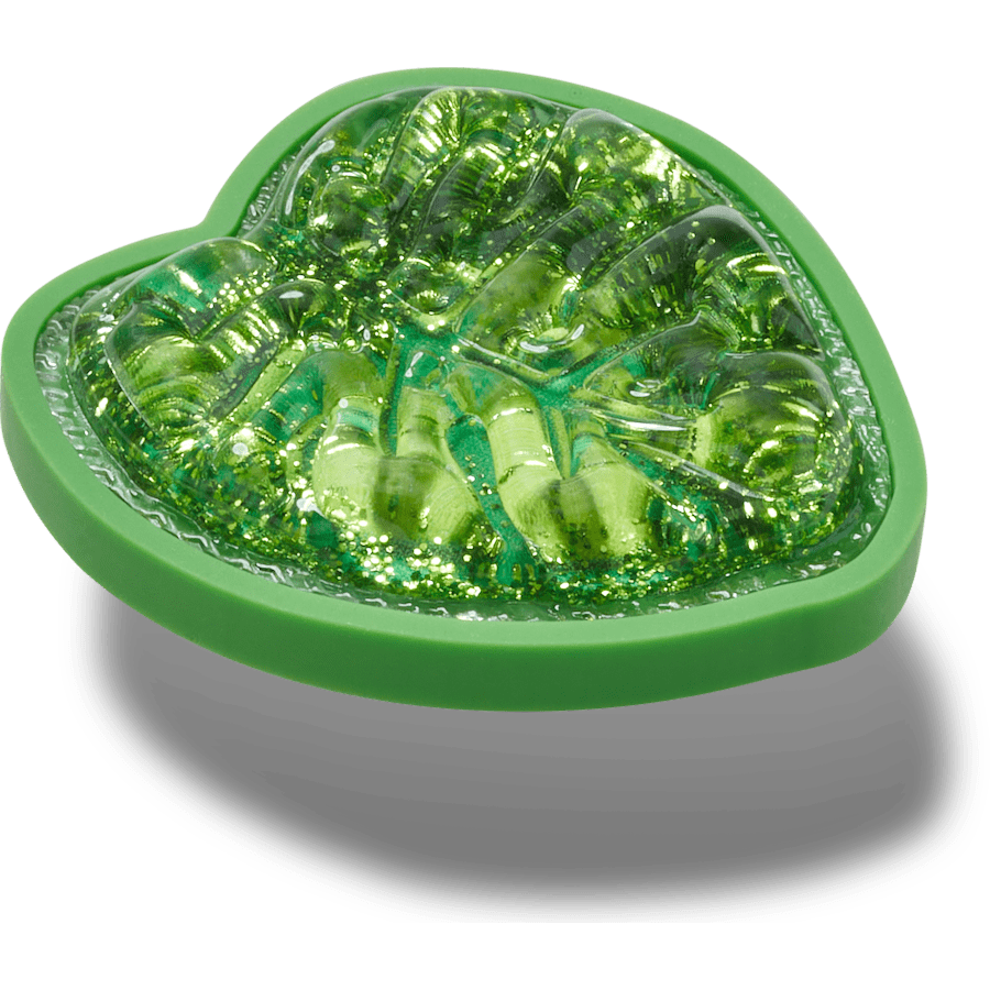  Squish Monstera Leaf - charms on shoes - Jibbitz