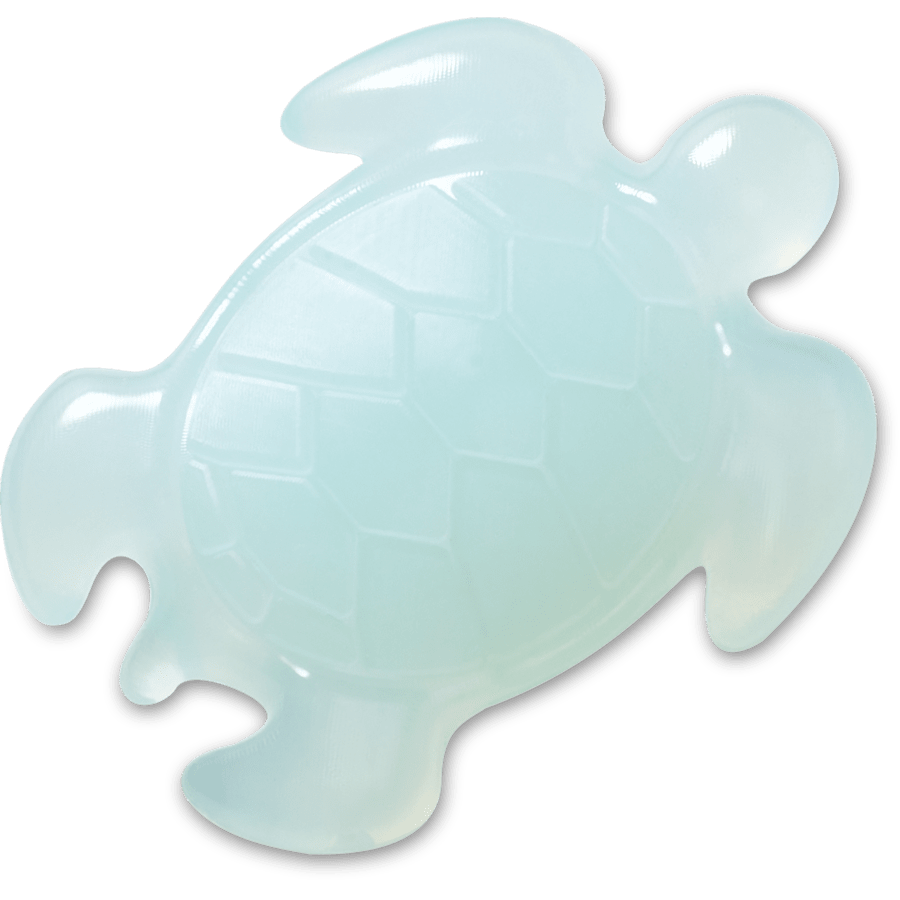 Crocs Light Blue Turtle
