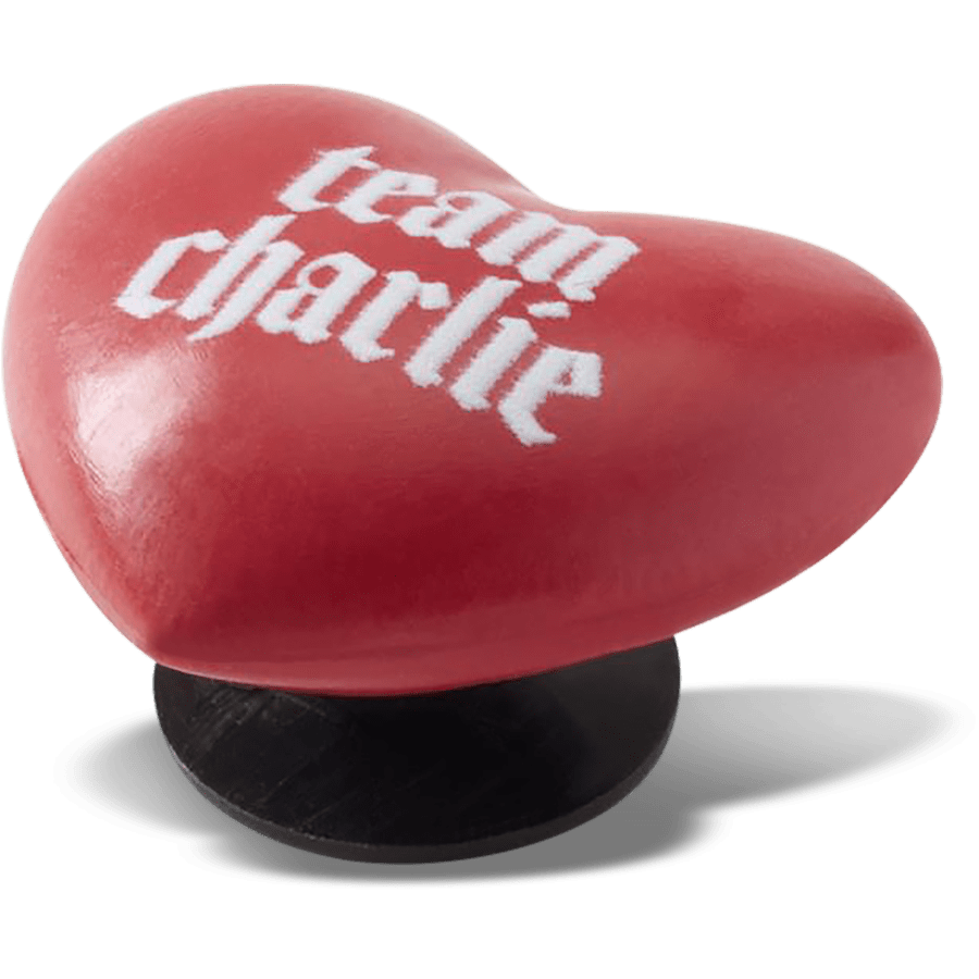L’équipe Charlie de la saga Twilight - Angle personnalisé - Jibbitz Charms