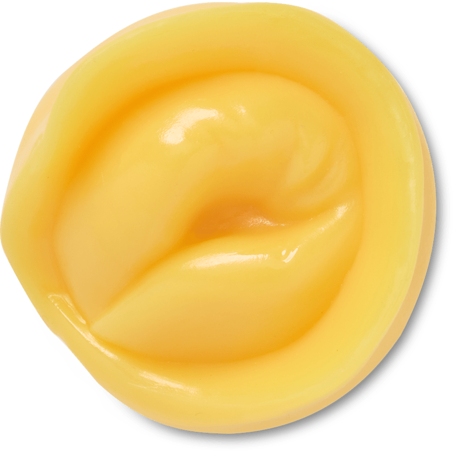 Realistic Tortellini Pasta