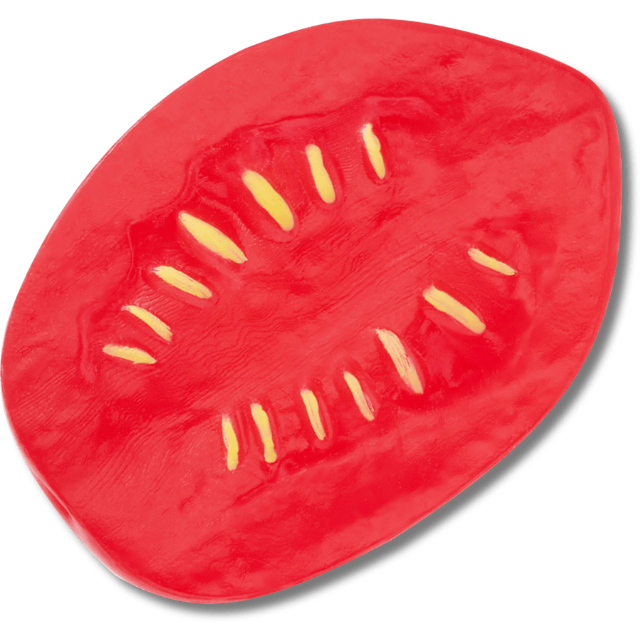 Realistic Plum Tomato Slice
