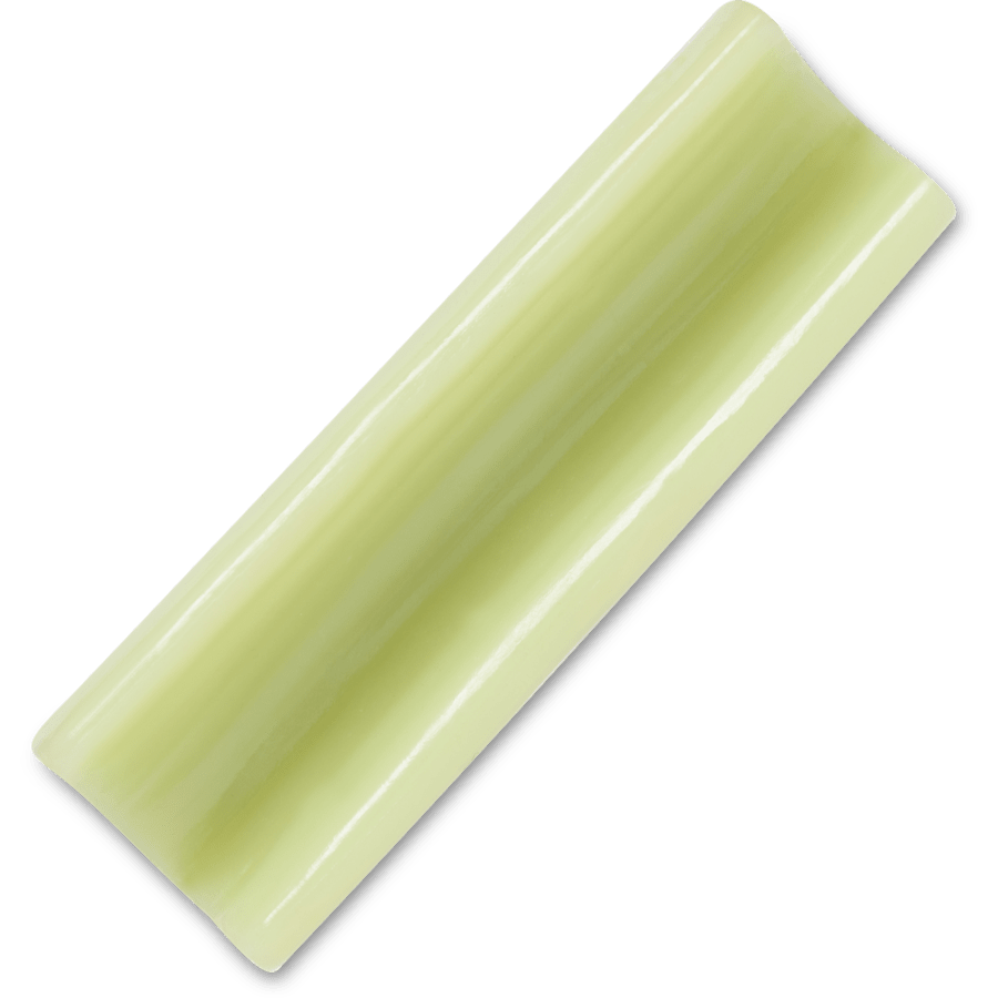 Realistic Celery Slice