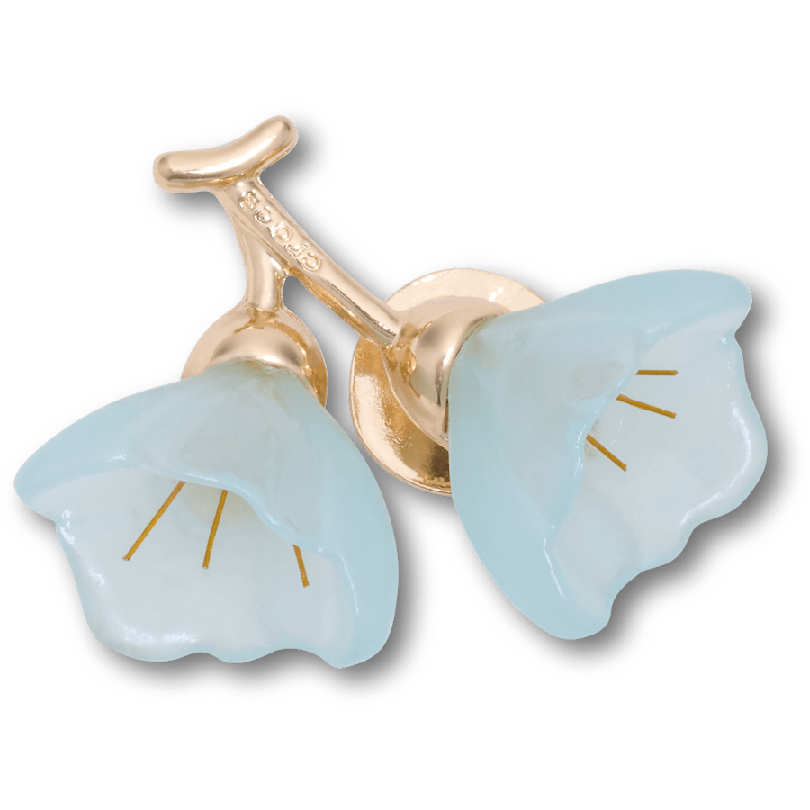 Blue and Gold Flower Blossom