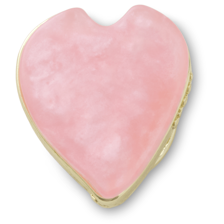 Pink Flower Petal