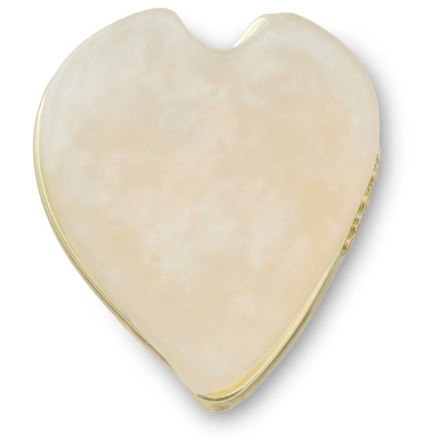 White Flower Petal