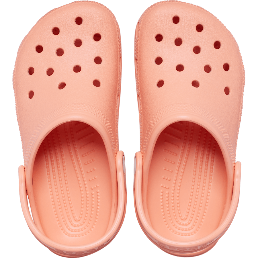 Papaya Toddler Classic Clog - Back - Crocs