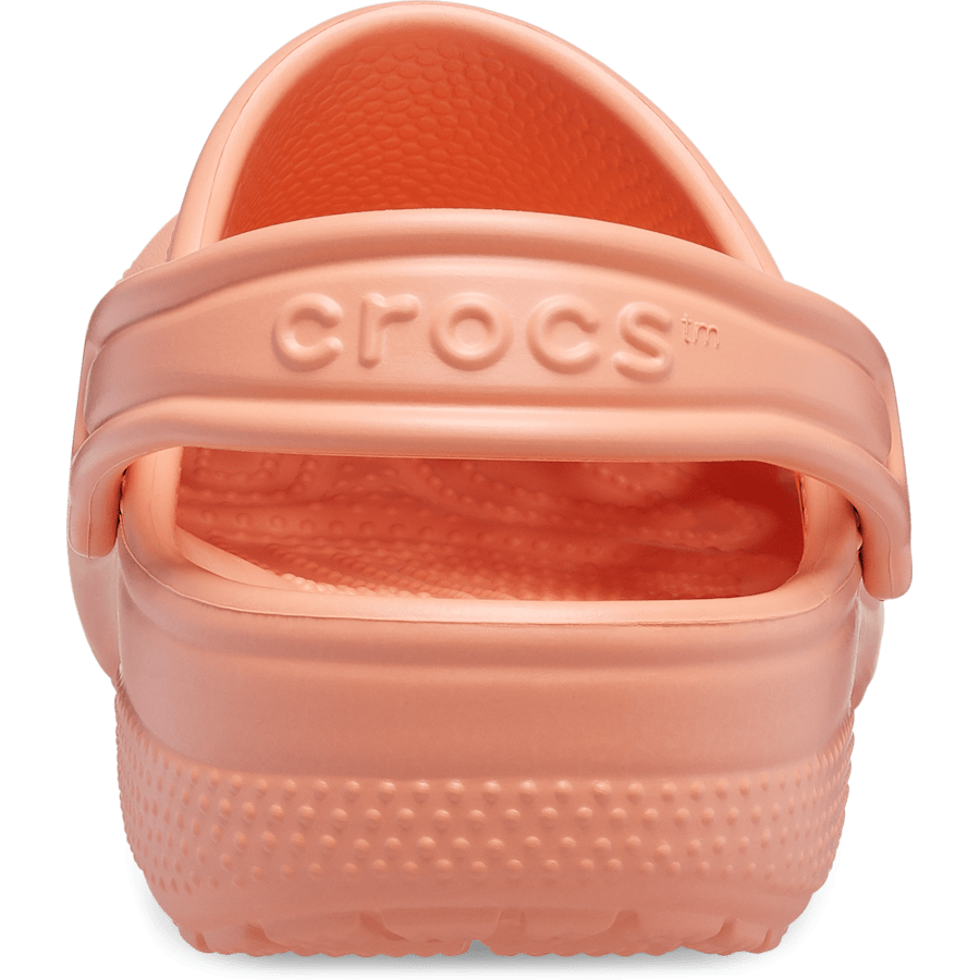 Papaya Toddler Classic Clog - Back - Crocs