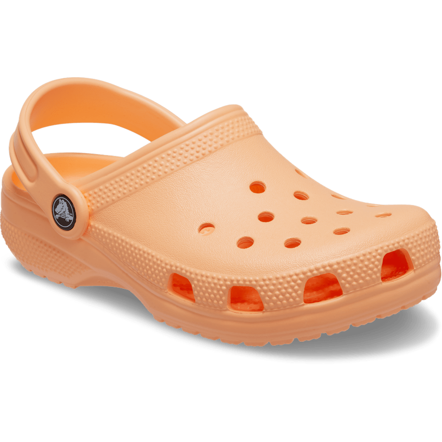 Color Toddler Classic Clog - Angle - Crocs