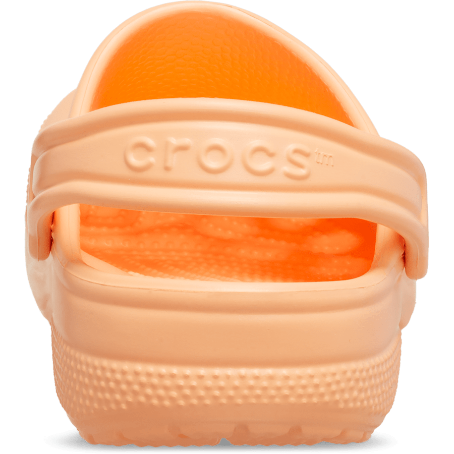 Color Toddler Classic Clog - Back - Crocs